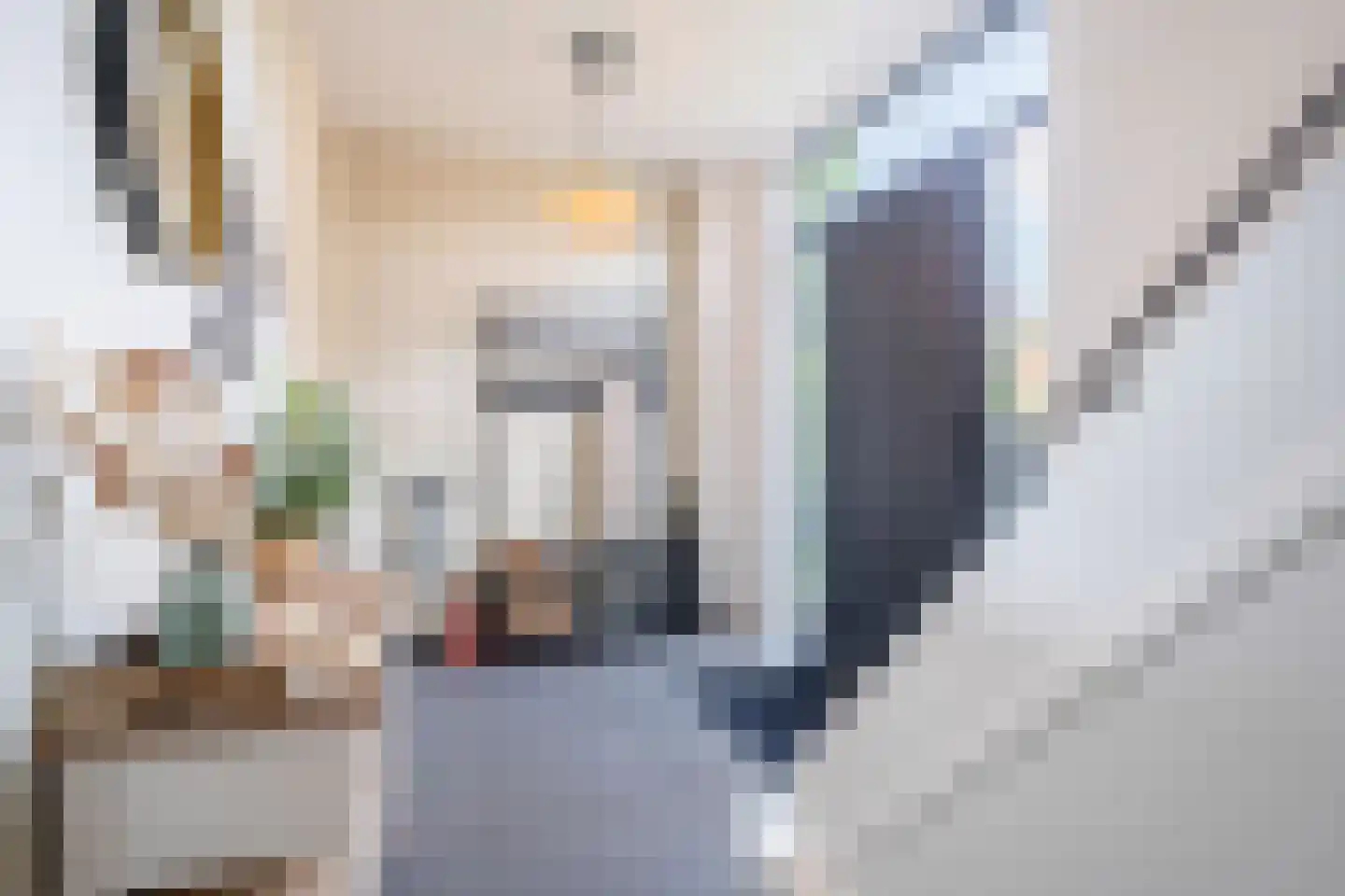Jacob Catssingel 95 Breda thumbnail 8