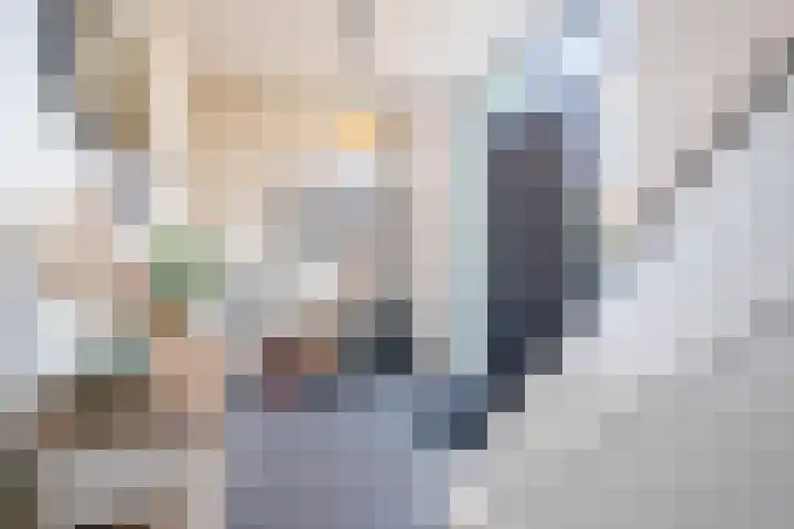 Jacob Catssingel 95 Breda thumbnail 8