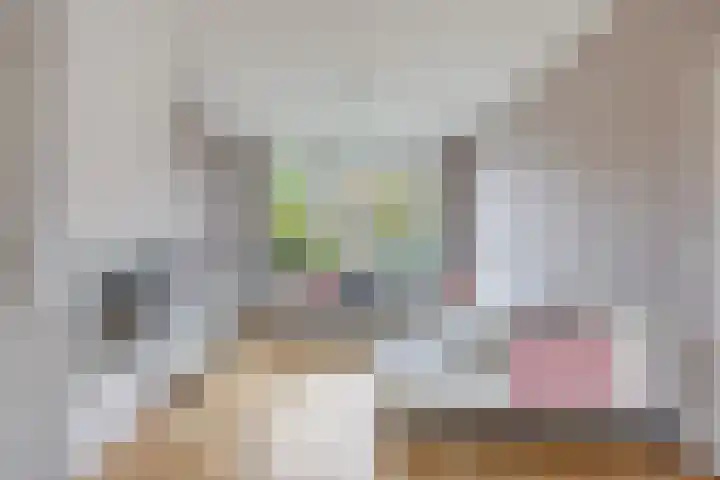 Jacob Catssingel 99 Breda thumbnail 11