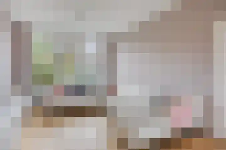 Jacob Catssingel 99 Breda thumbnail 12