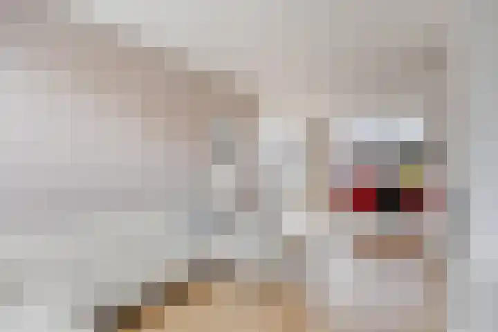 Jacob Catssingel 99 Breda thumbnail 13