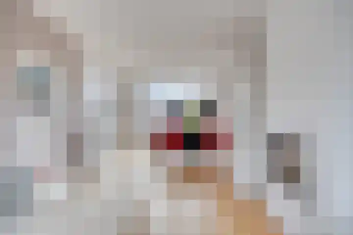 Jacob Catssingel 99 Breda thumbnail 14