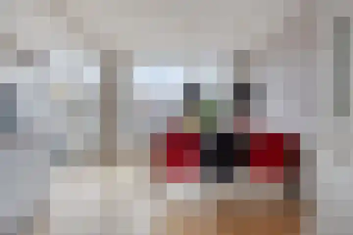 Jacob Catssingel 99 Breda thumbnail 16