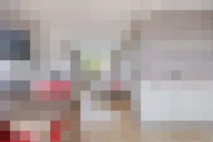 Jacob Catssingel 99 Breda thumbnail 17