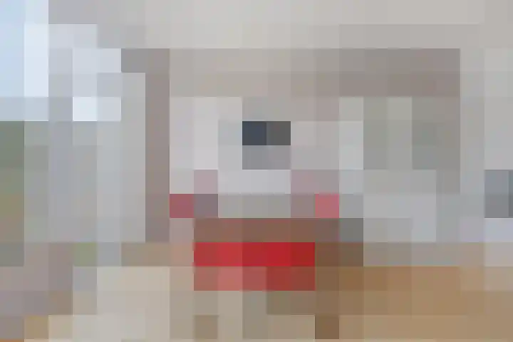 Jacob Catssingel 99 Breda thumbnail 18