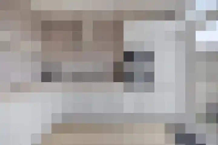 Jacob Catssingel 99 Breda thumbnail 20