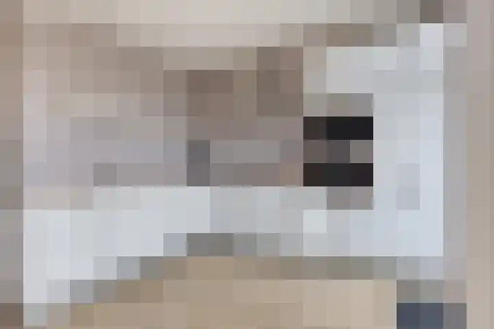 Jacob Catssingel 99 Breda thumbnail 21