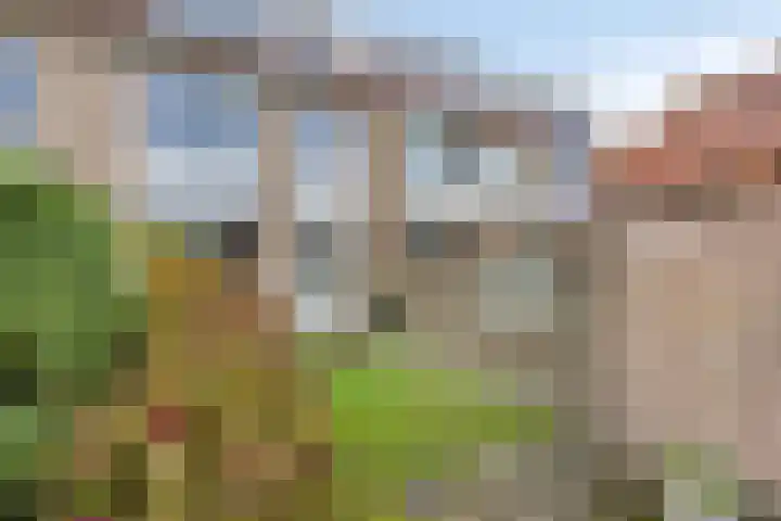 Jacob Catssingel 99 Breda thumbnail 30