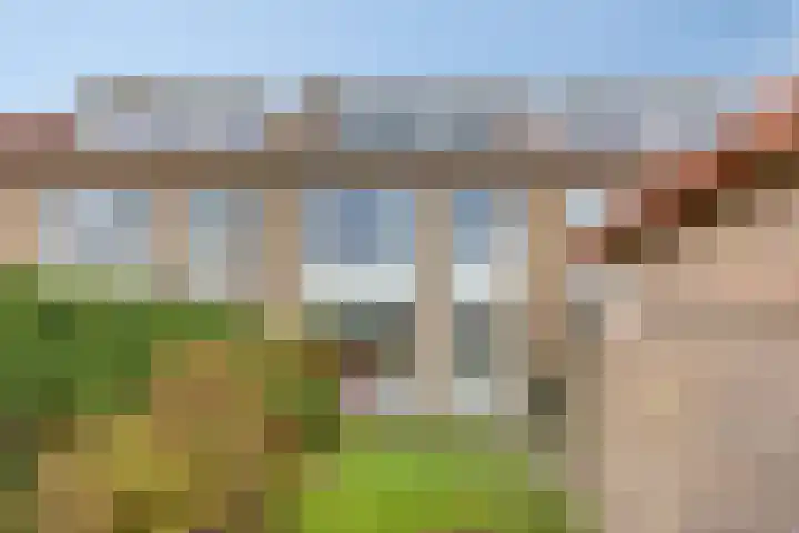 Jacob Catssingel 99 Breda thumbnail 32