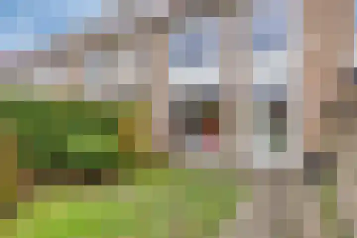 Jacob Catssingel 99 Breda thumbnail 33