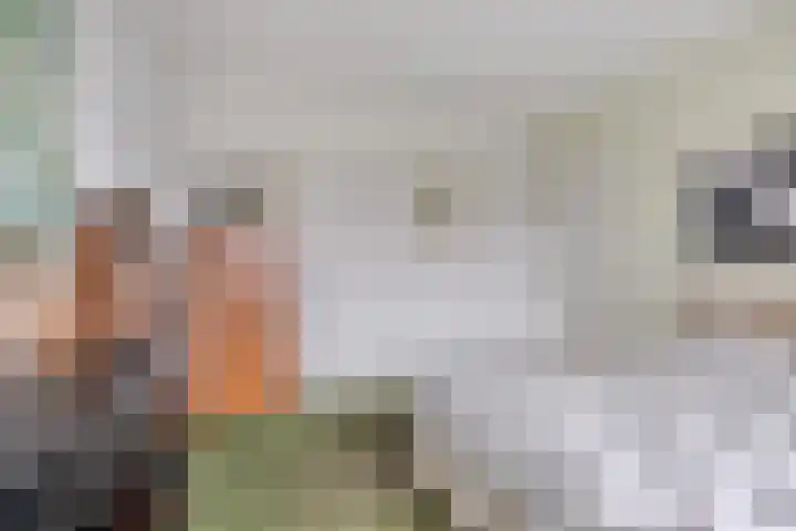 Jacob Catssingel 99 Breda thumbnail 36