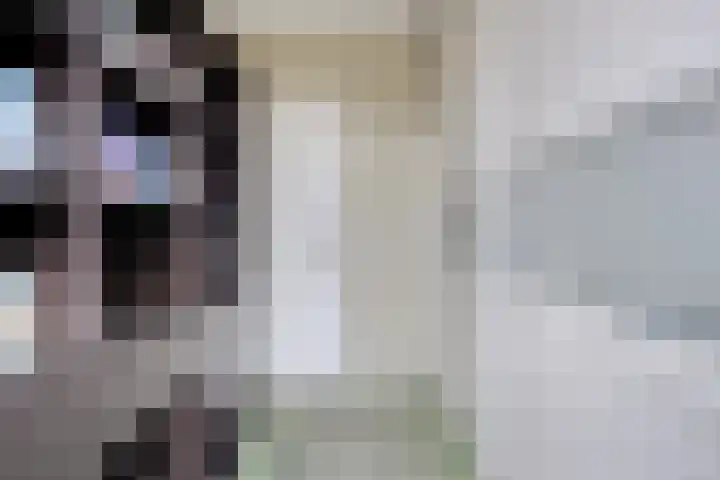 Jacob Catssingel 99 Breda thumbnail 38