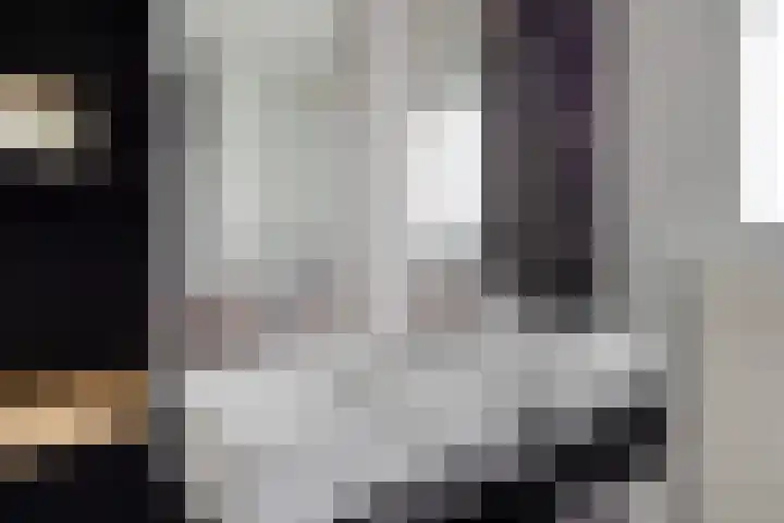 Jacob Catssingel 99 Breda thumbnail 43