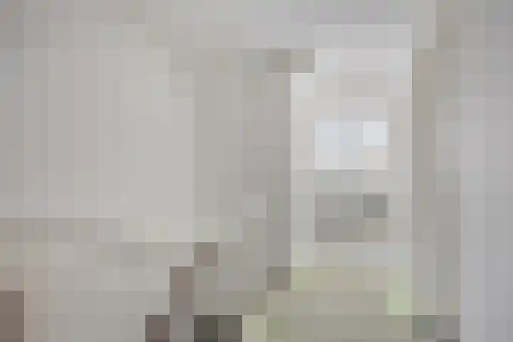 Jacob Catssingel 99 Breda thumbnail 46