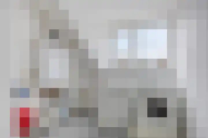 Jacob Catssingel 99 Breda thumbnail 48