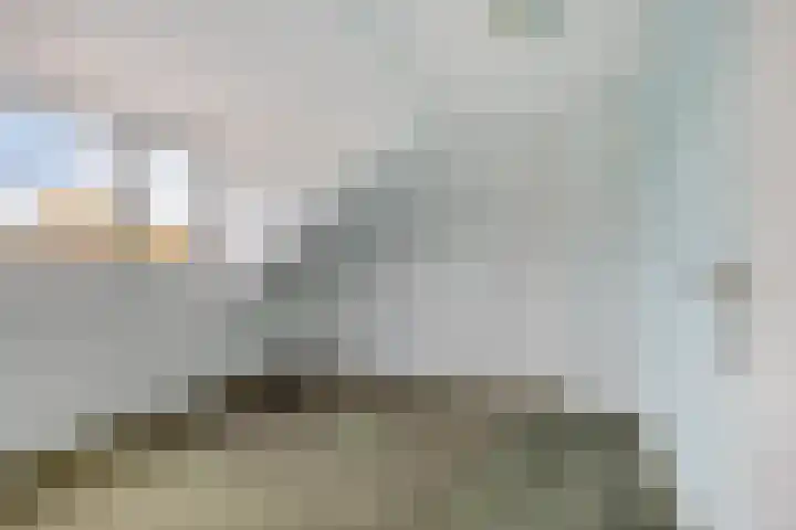 Jacob Catssingel 99 Breda thumbnail 51