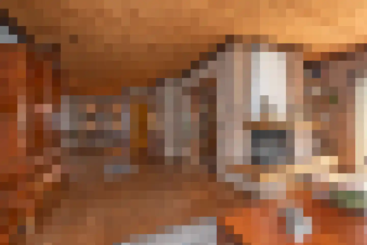 Jacob Catsstraat 1 A Rijssen thumbnail 11