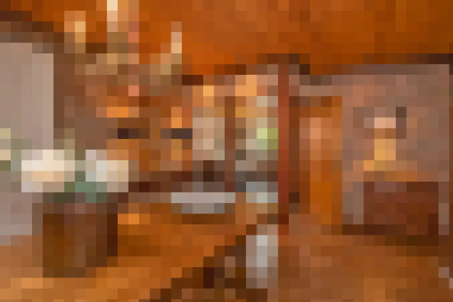 Jacob Catsstraat 1 A Rijssen thumbnail 14