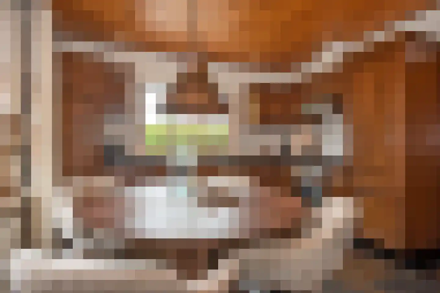 Jacob Catsstraat 1 A Rijssen thumbnail 16
