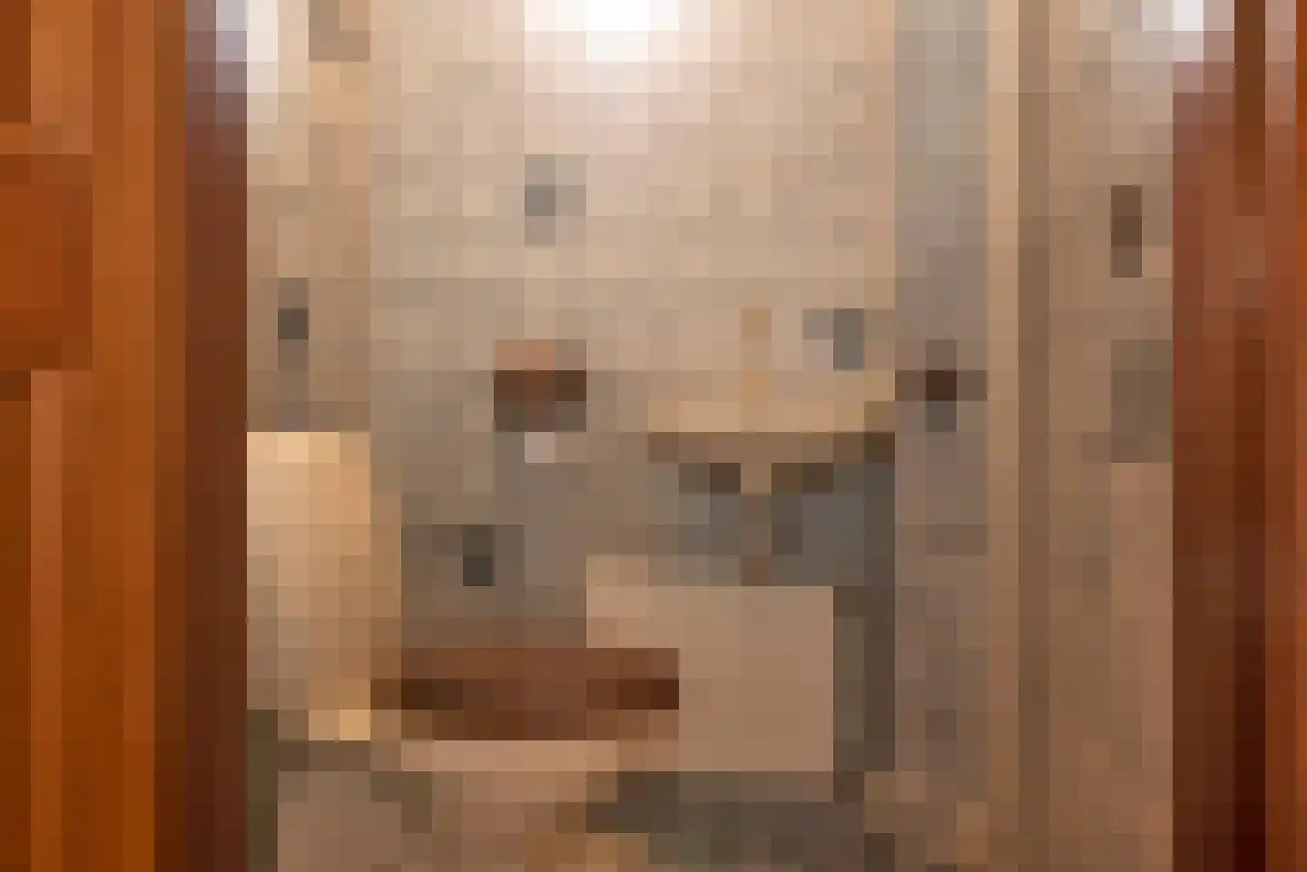 Jacob Catsstraat 1 A Rijssen thumbnail 19