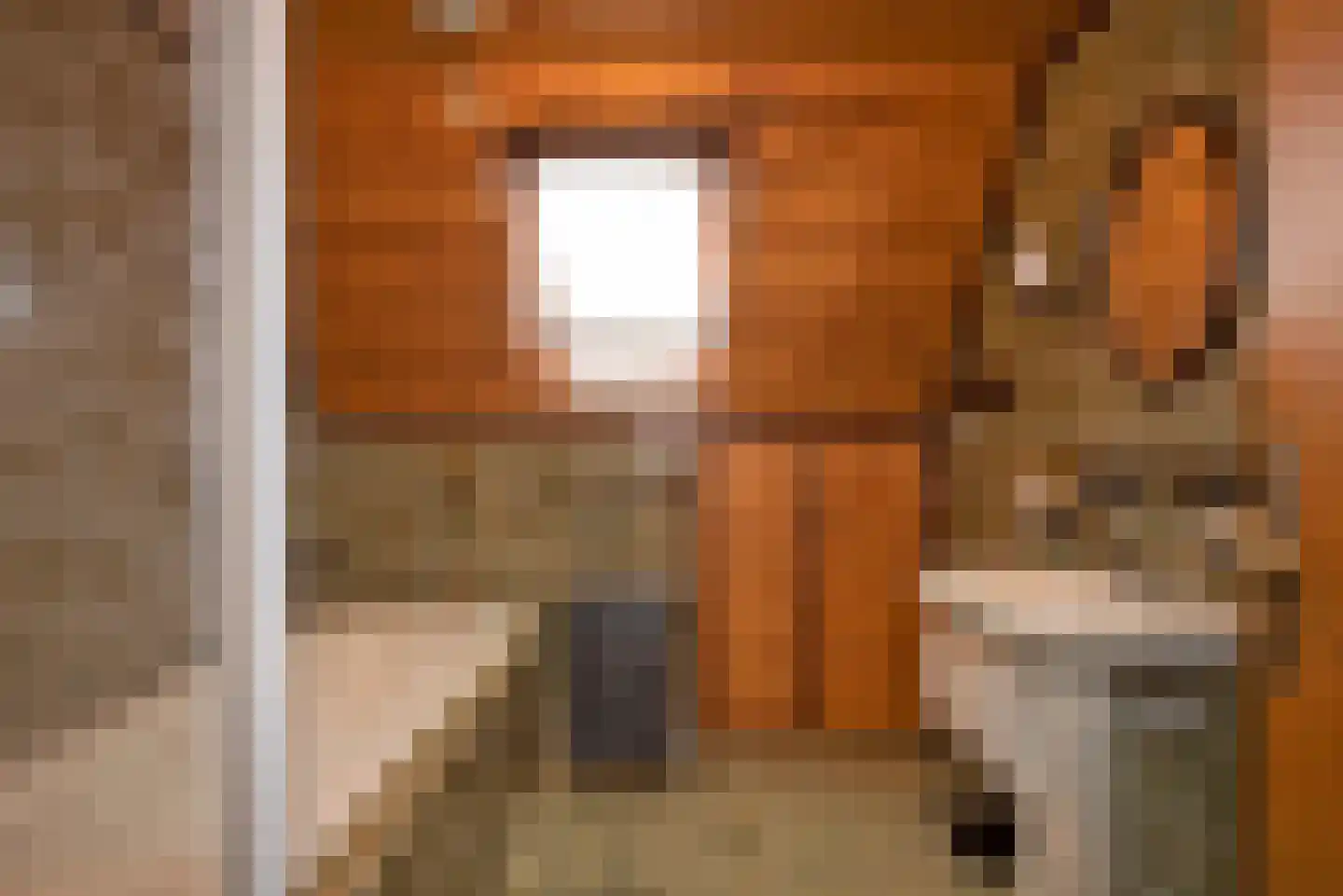 Jacob Catsstraat 1 A Rijssen thumbnail 22