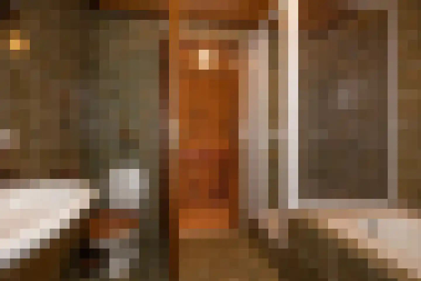 Jacob Catsstraat 1 A Rijssen thumbnail 23