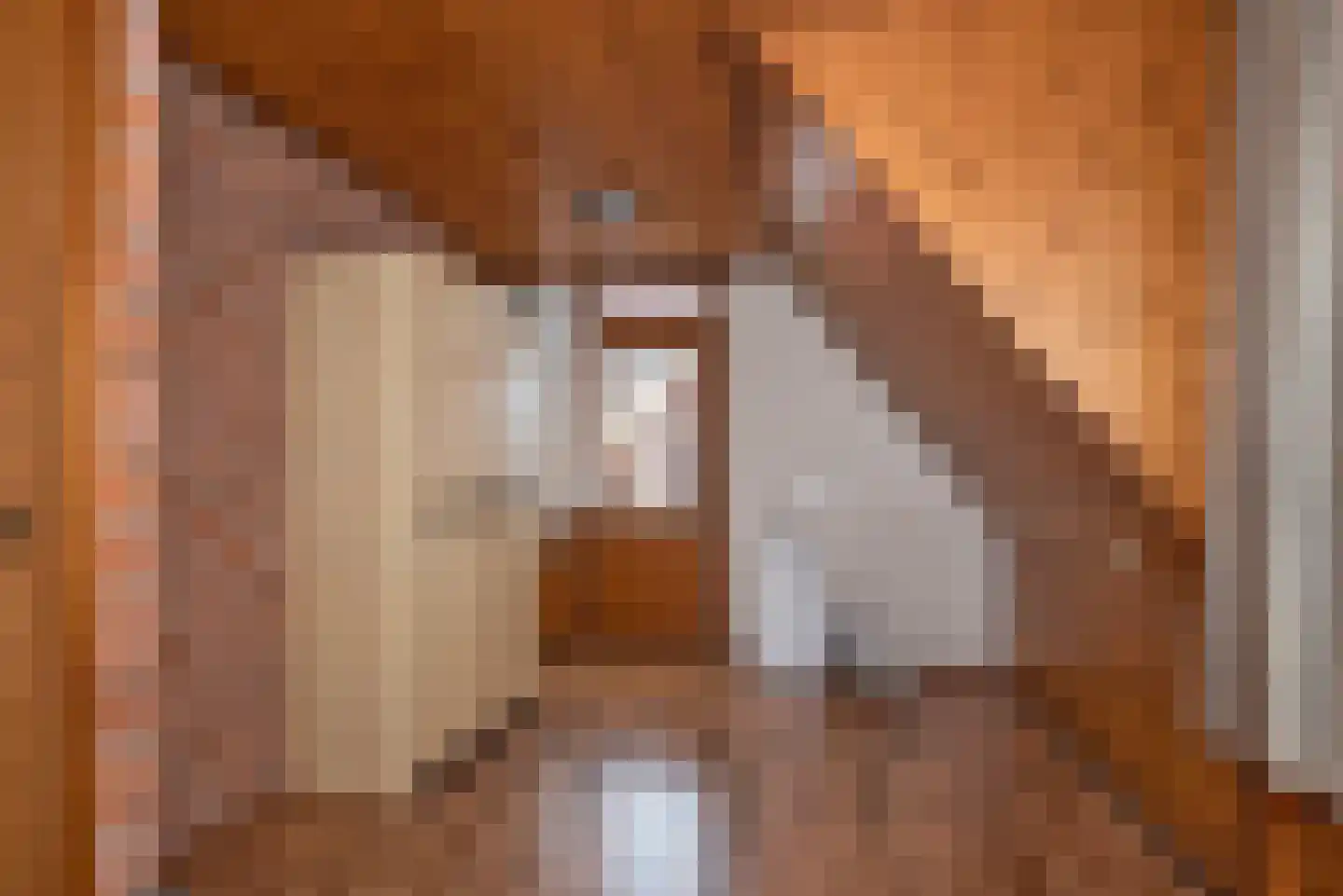 Jacob Catsstraat 1 A Rijssen thumbnail 25