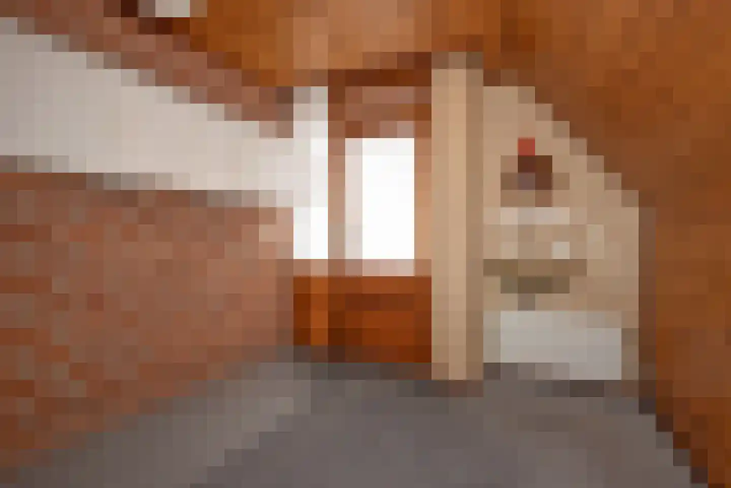 Jacob Catsstraat 1 A Rijssen thumbnail 28