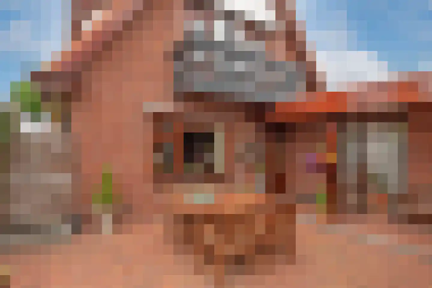 Jacob Catsstraat 1 A Rijssen thumbnail 35