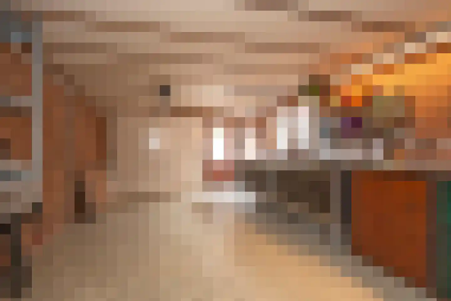 Jacob Catsstraat 1 A Rijssen thumbnail 39