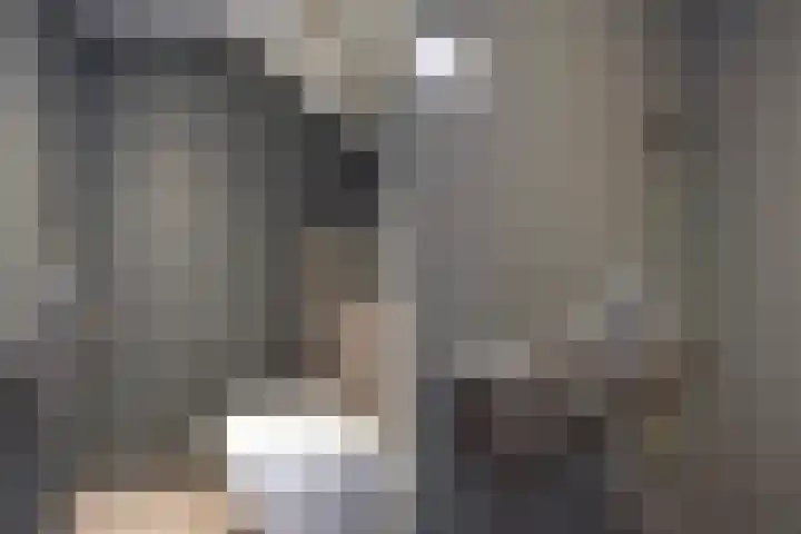 Jacob Catsstraat 1 B Den Haag thumbnail 16