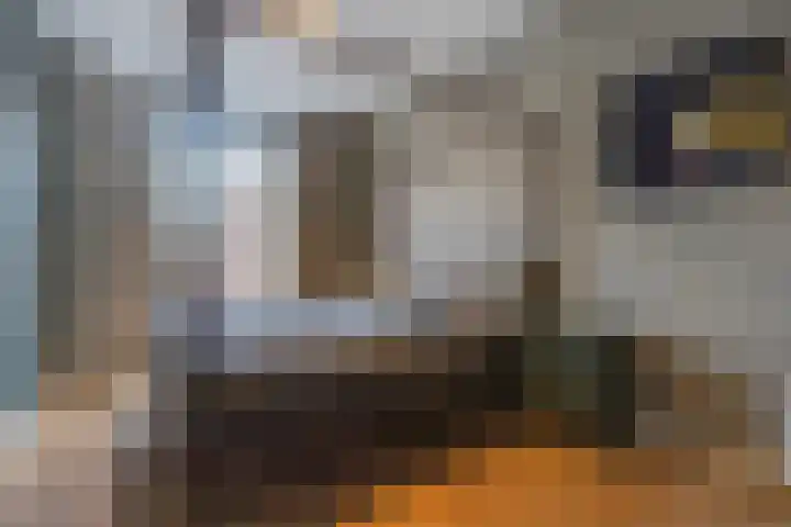 Jacob Catsstraat 1 B Den Haag thumbnail 27