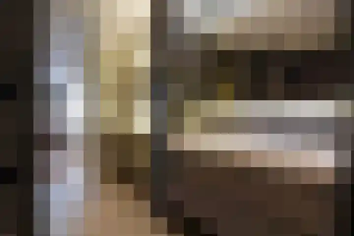 Jacob Catsstraat 1 B Den Haag thumbnail 37