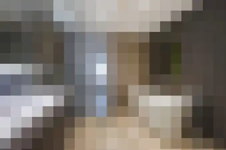 Jacob Catsstraat 1 B Den Haag thumbnail 5