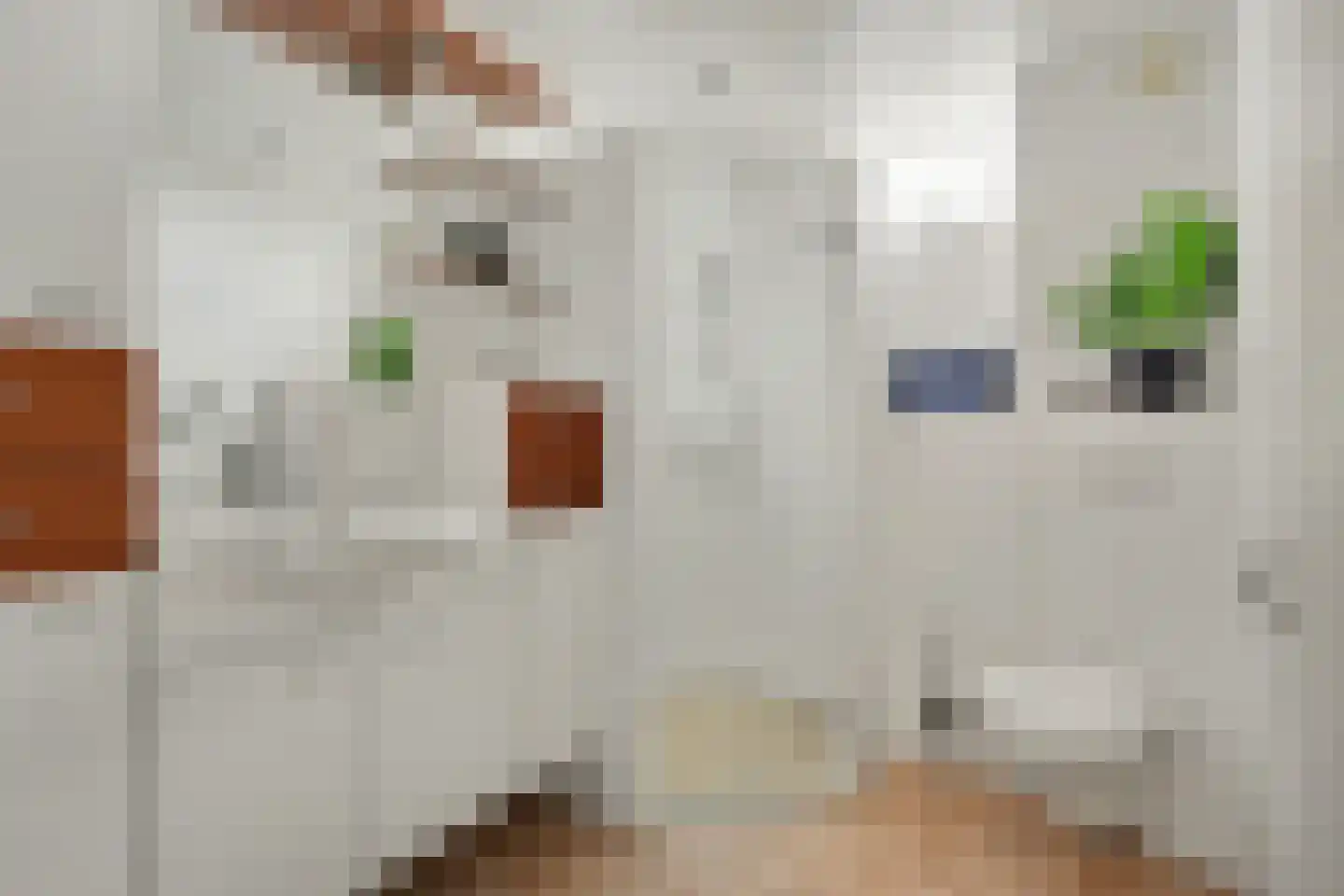 Jacob Catsstraat 1 III Winterswijk thumbnail 35