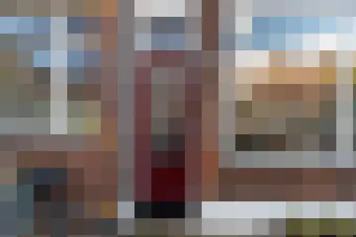 Jacob Catsstraat 10 Dordrecht thumbnail 4