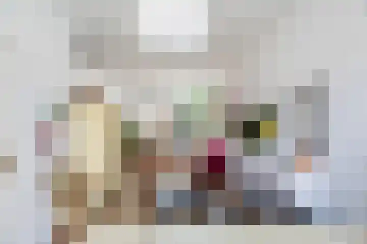 Jacob Catsstraat 10 Dordrecht thumbnail 9