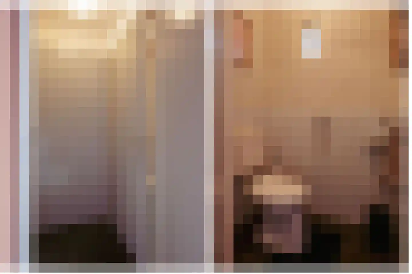 Jacob Catsstraat 10 Grijpskerke thumbnail 10