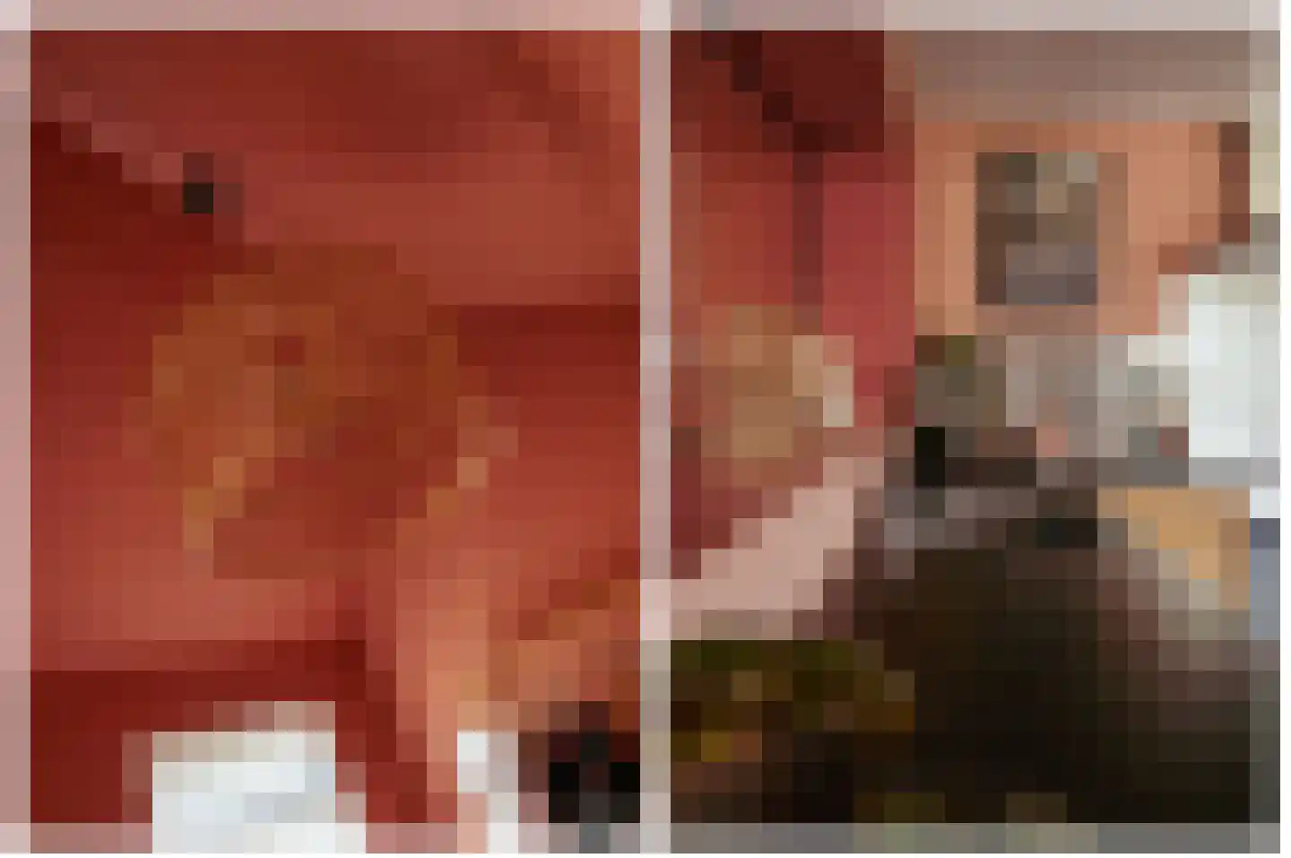 Jacob Catsstraat 10 Grijpskerke thumbnail 11