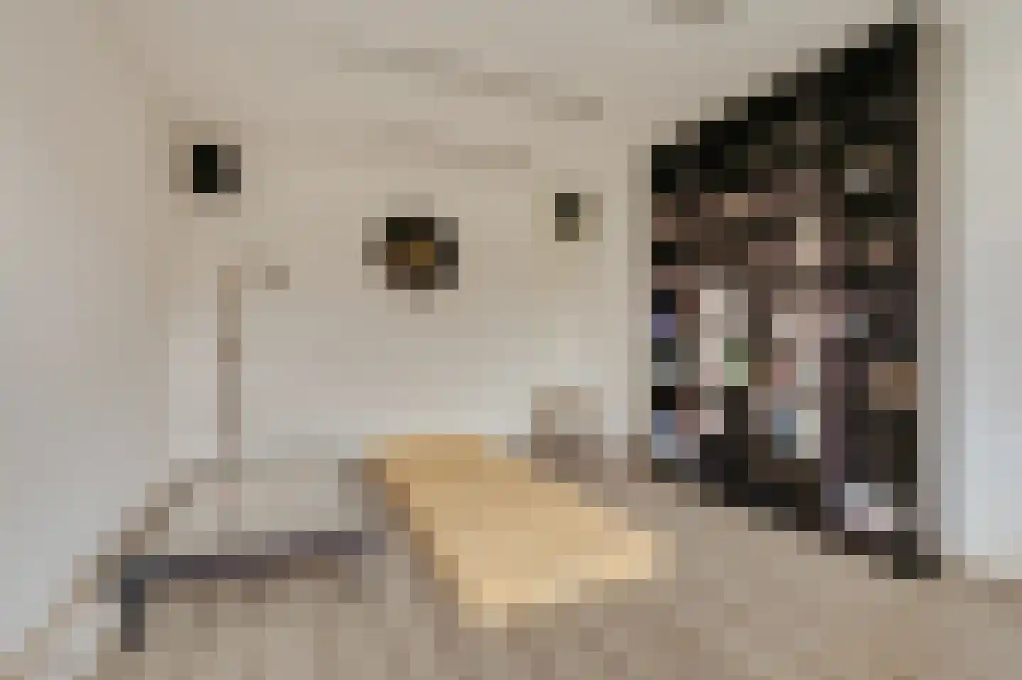 Jacob Catsstraat 10 Grijpskerke thumbnail 23