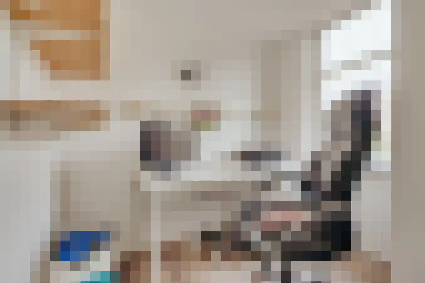 Jacob Catsstraat 10 Grijpskerke thumbnail 27
