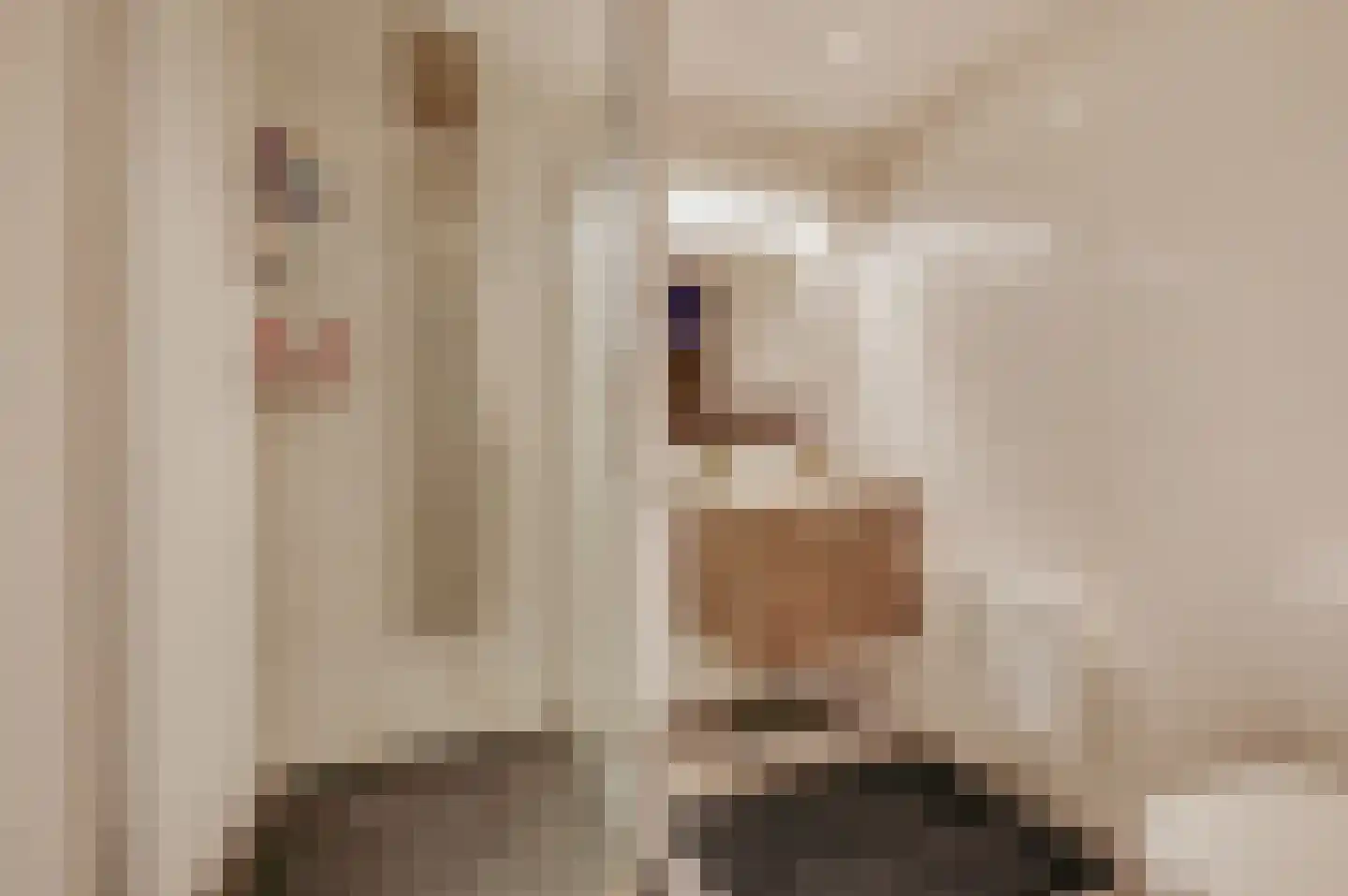 Jacob Catsstraat 10 Grijpskerke thumbnail 28