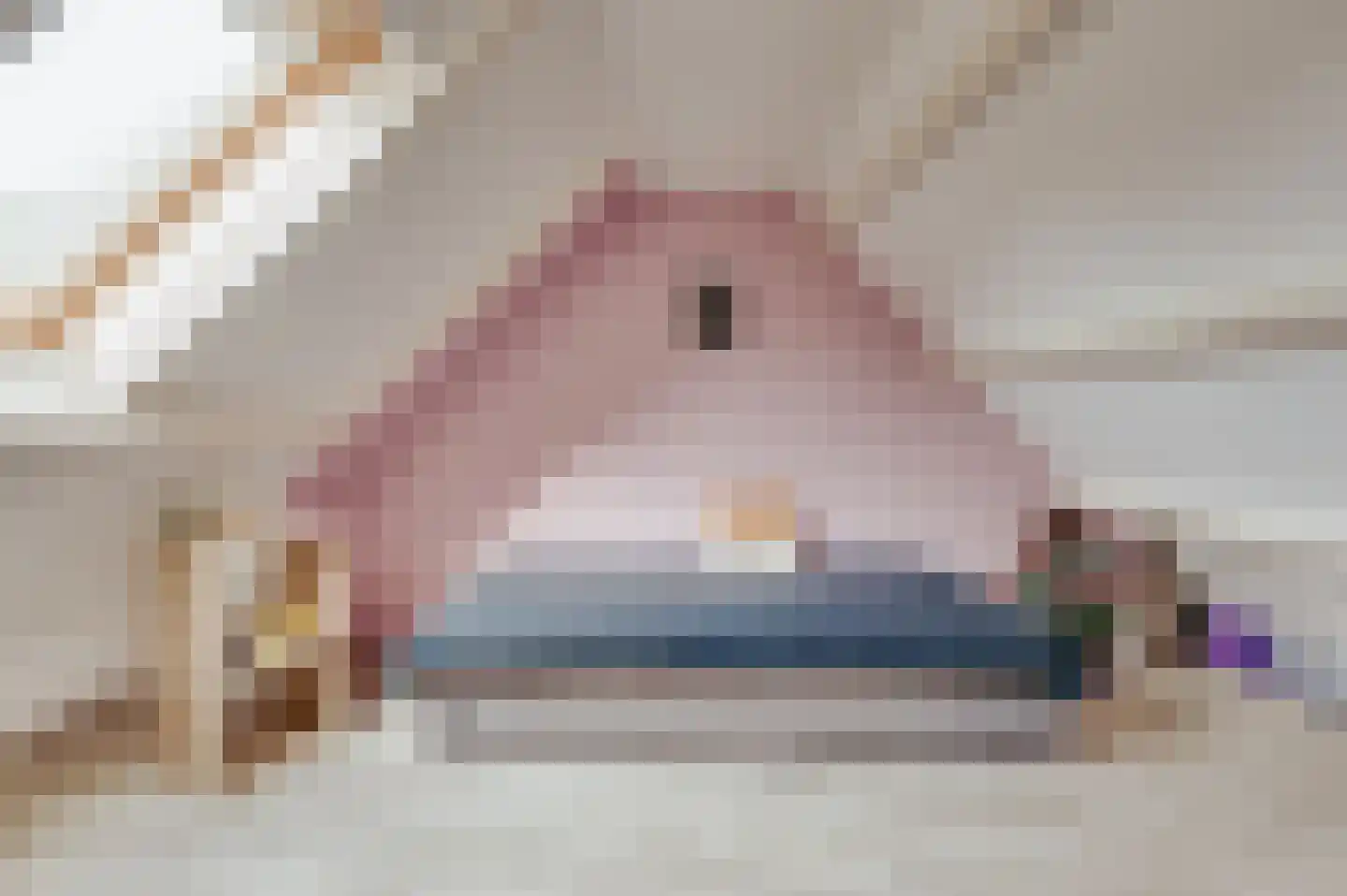 Jacob Catsstraat 10 Grijpskerke thumbnail 35