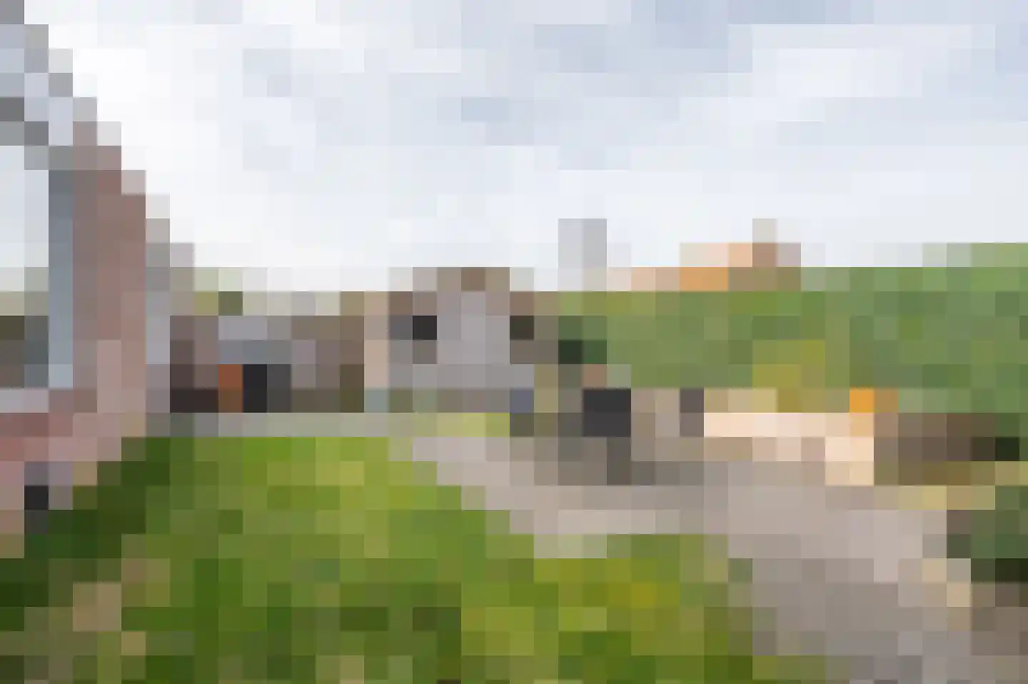 Jacob Catsstraat 10 Grijpskerke thumbnail 39