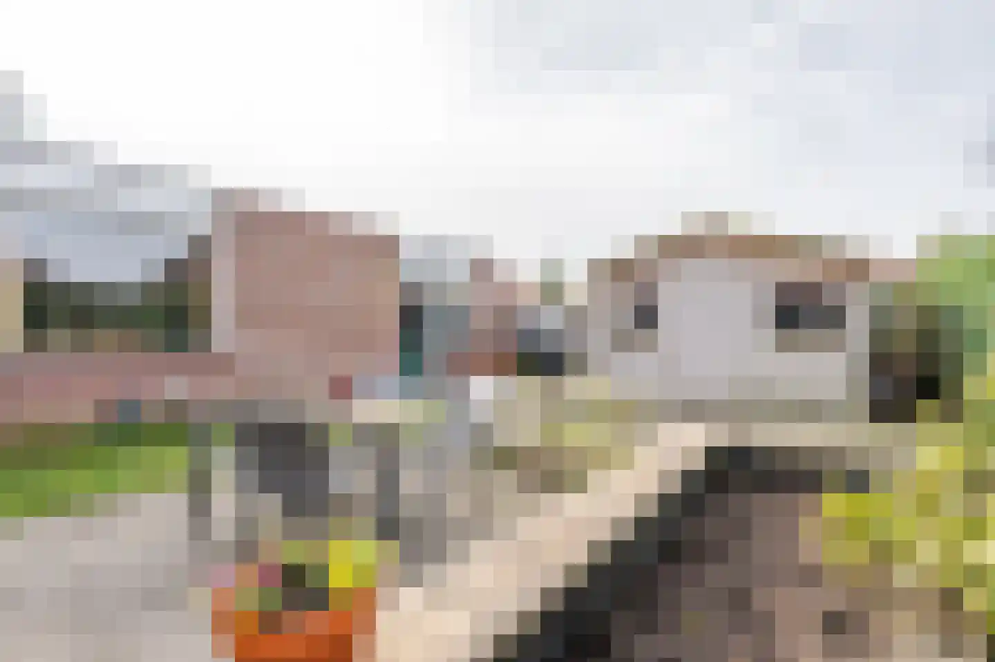 Jacob Catsstraat 10 Grijpskerke thumbnail 41