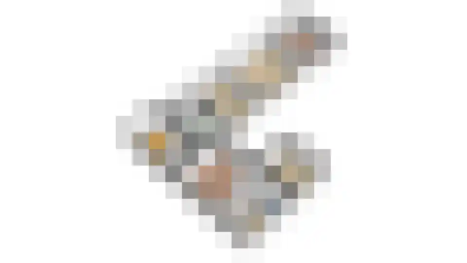 Jacob Catsstraat 10 Grijpskerke thumbnail 47