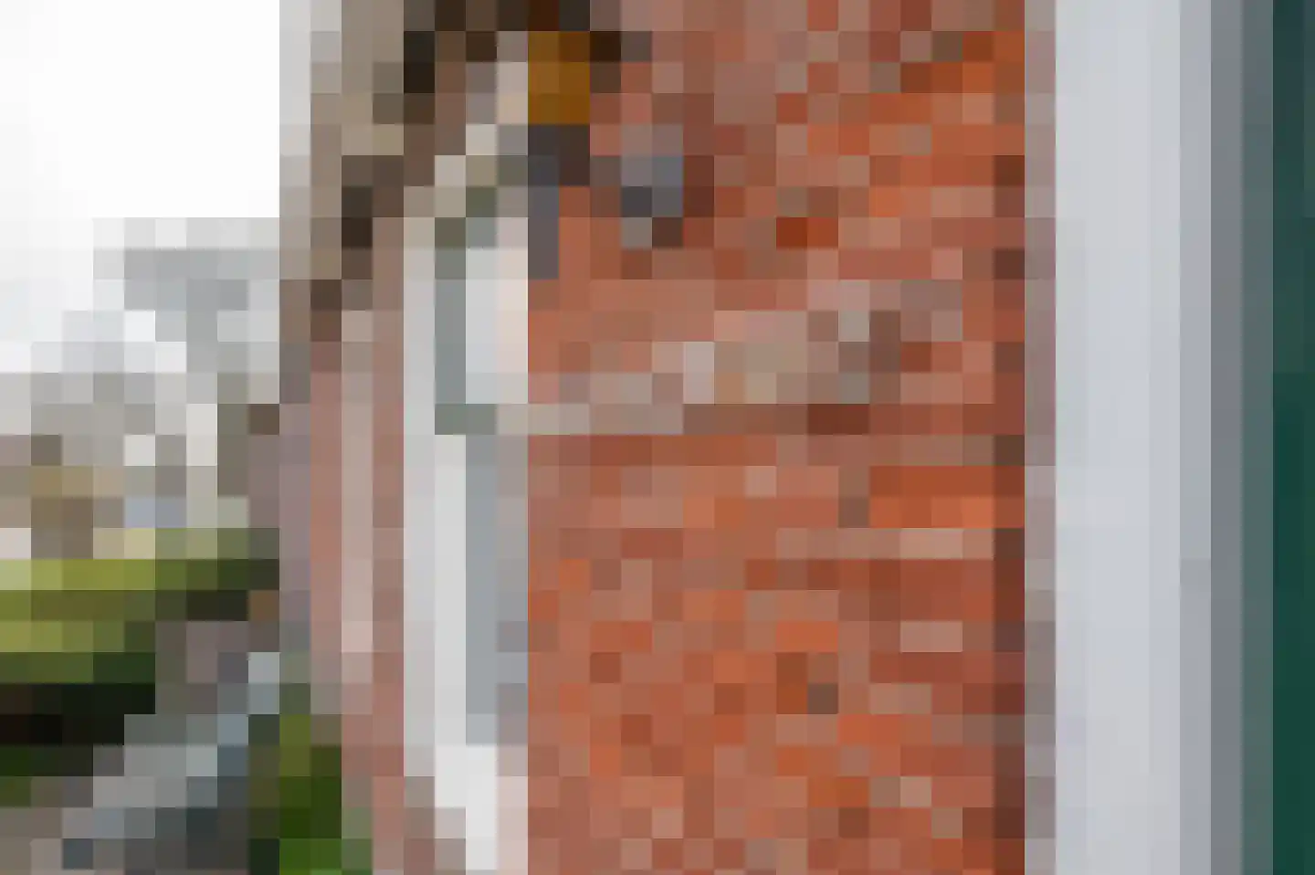 Jacob Catsstraat 10 Grijpskerke thumbnail 6