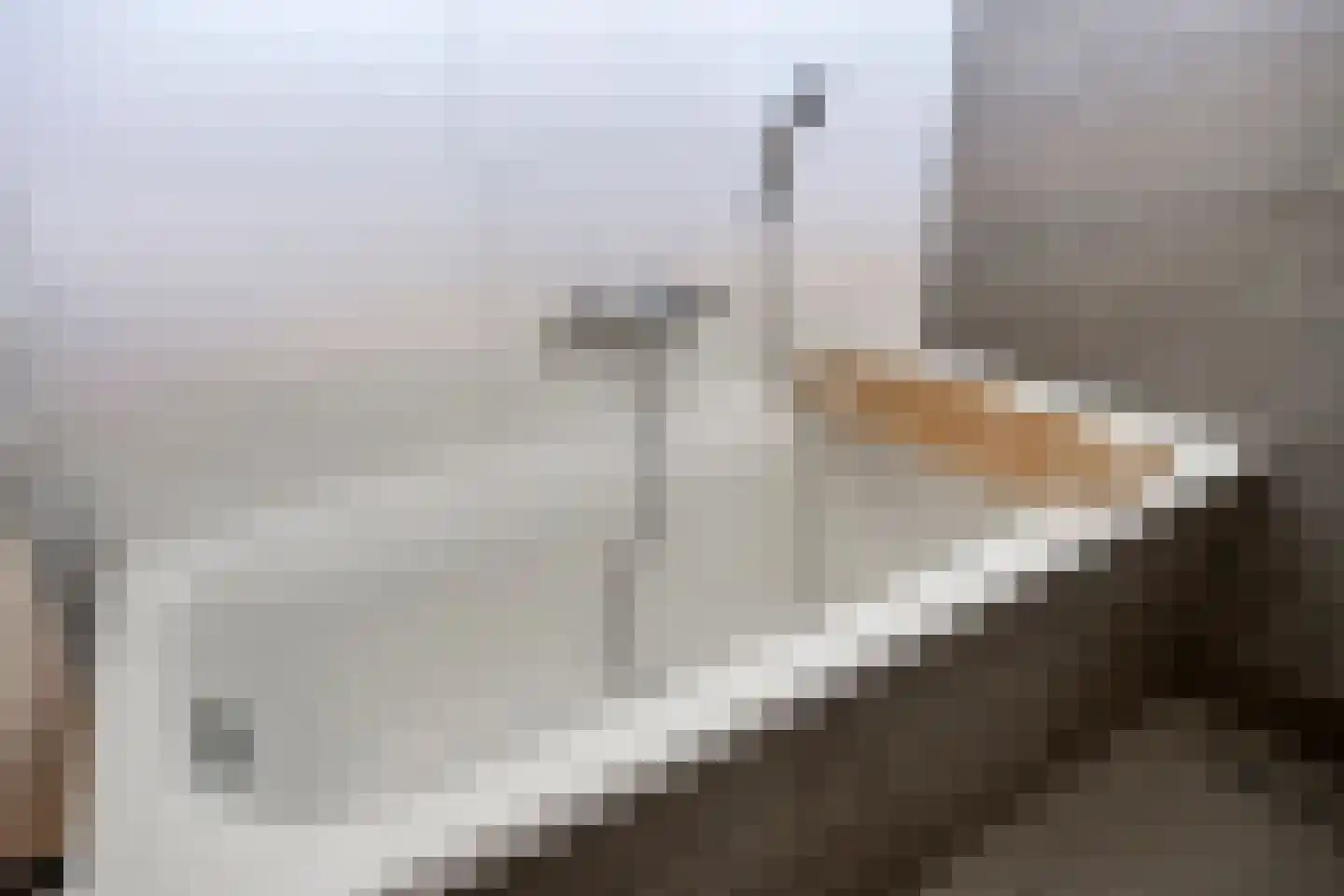 Jacob Catsstraat 106 Barneveld thumbnail 19
