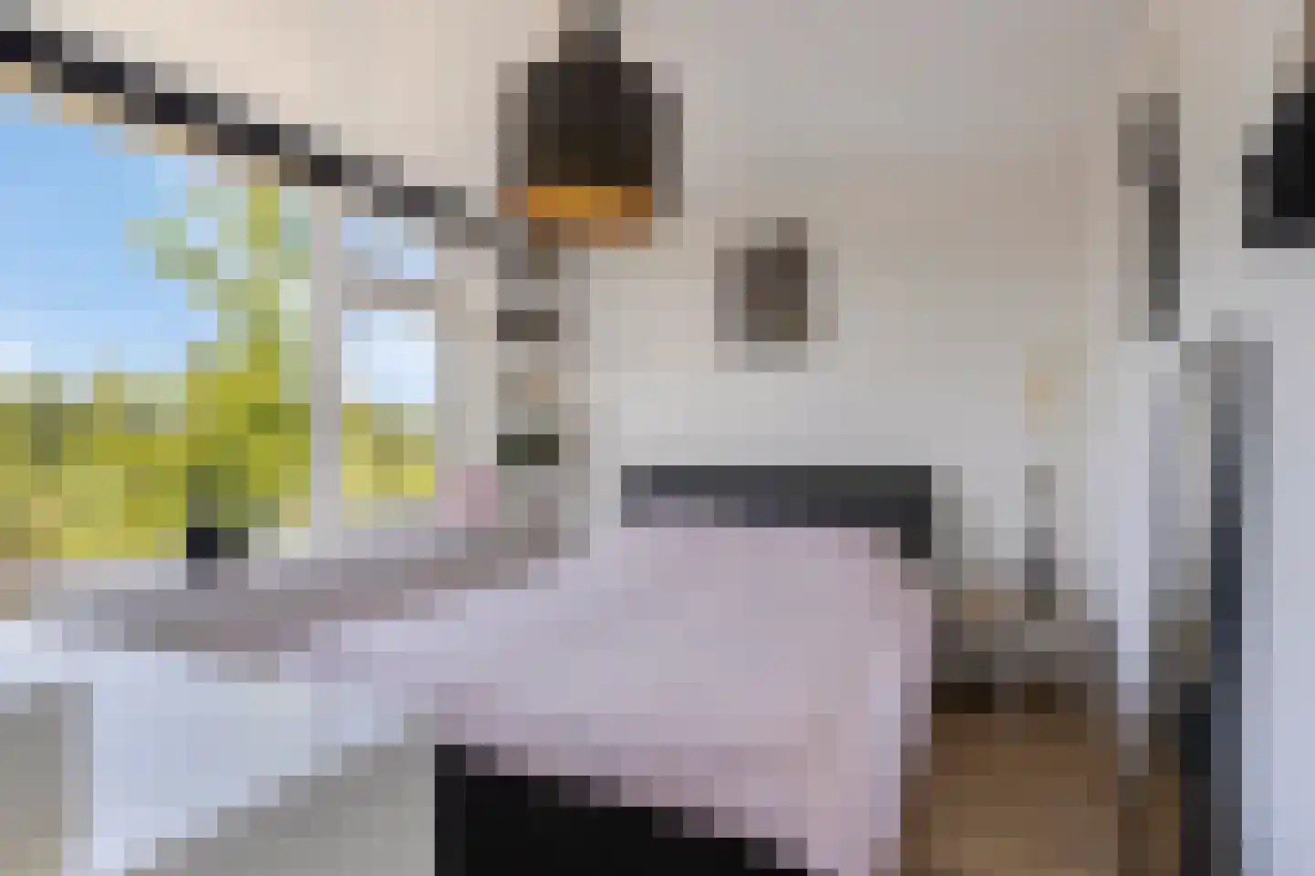 Jacob Catsstraat 106 Barneveld thumbnail 21