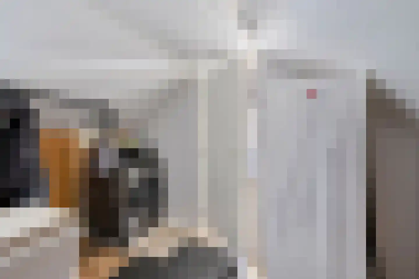 Jacob Catsstraat 106 Barneveld thumbnail 28